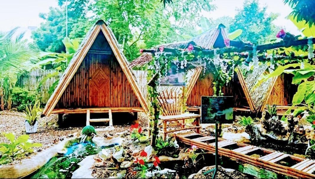 Moalboal Bamboo House / Rooms Dış mekan fotoğraf