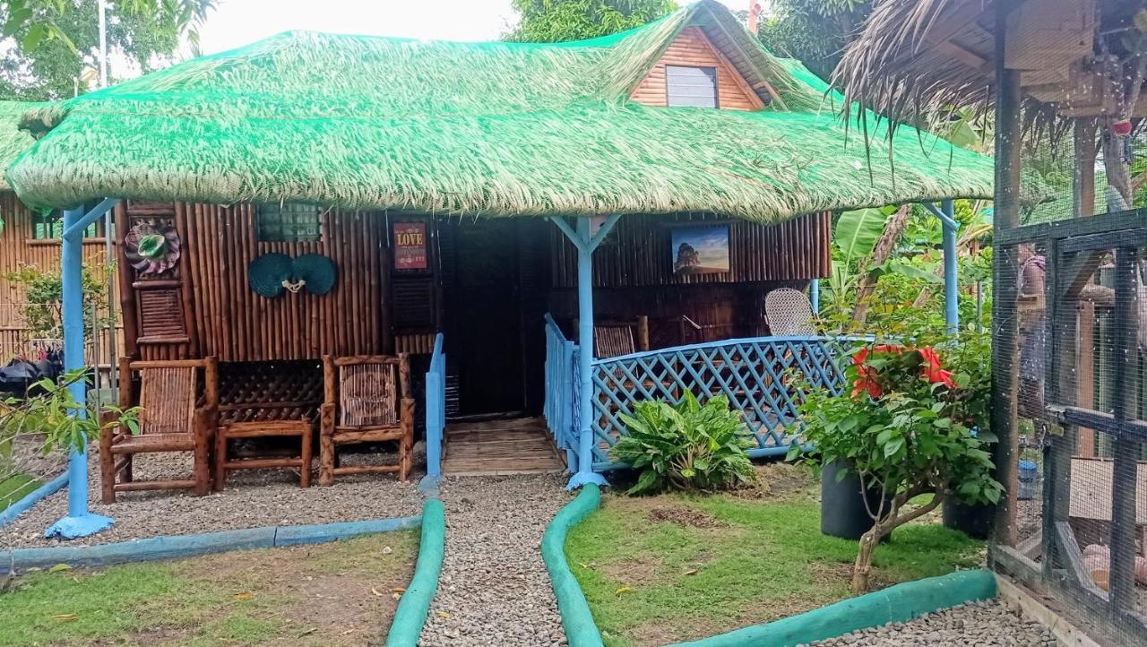 Moalboal Bamboo House / Rooms Dış mekan fotoğraf