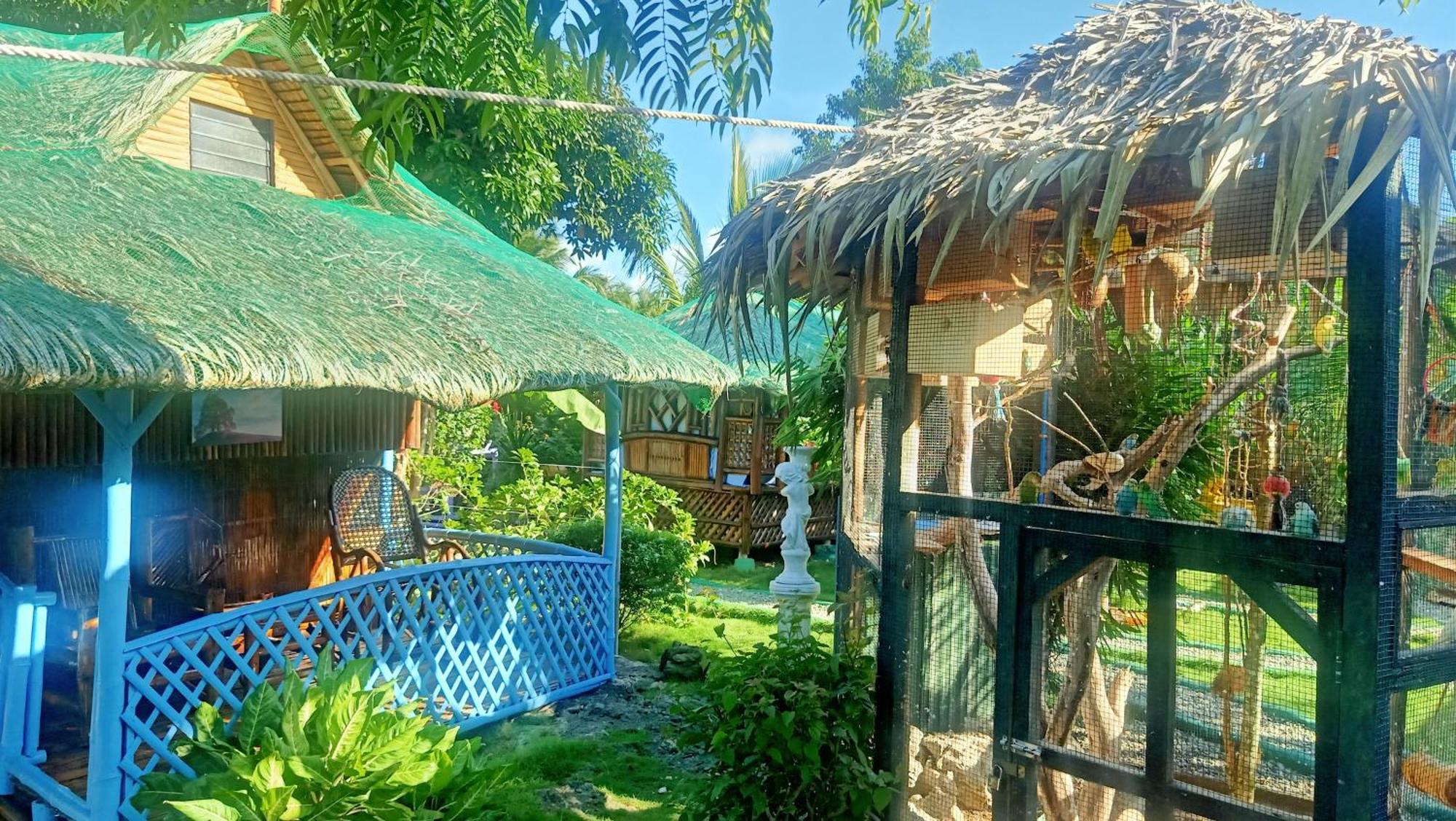 Moalboal Bamboo House / Rooms Oda fotoğraf