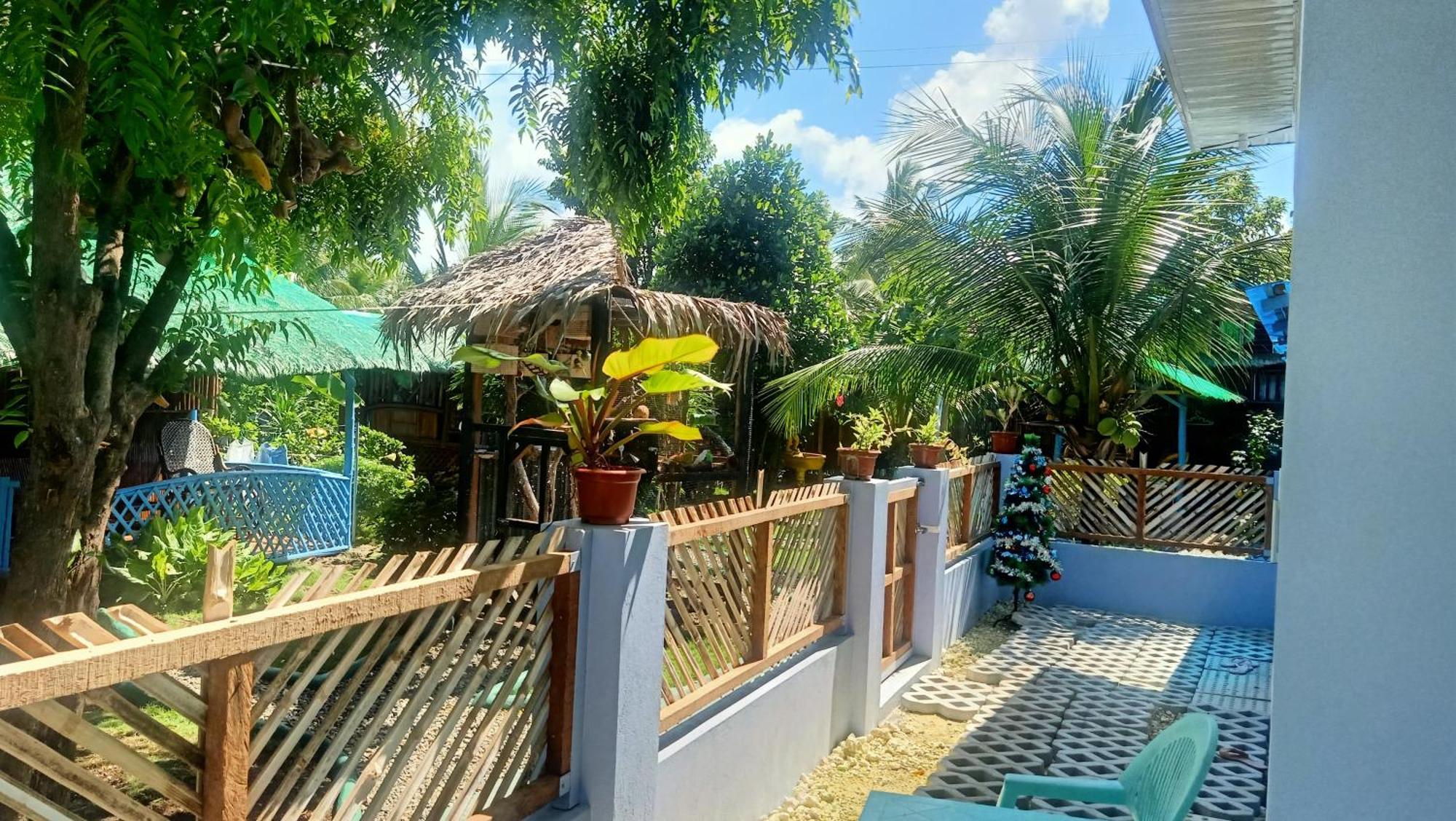 Moalboal Bamboo House / Rooms Oda fotoğraf