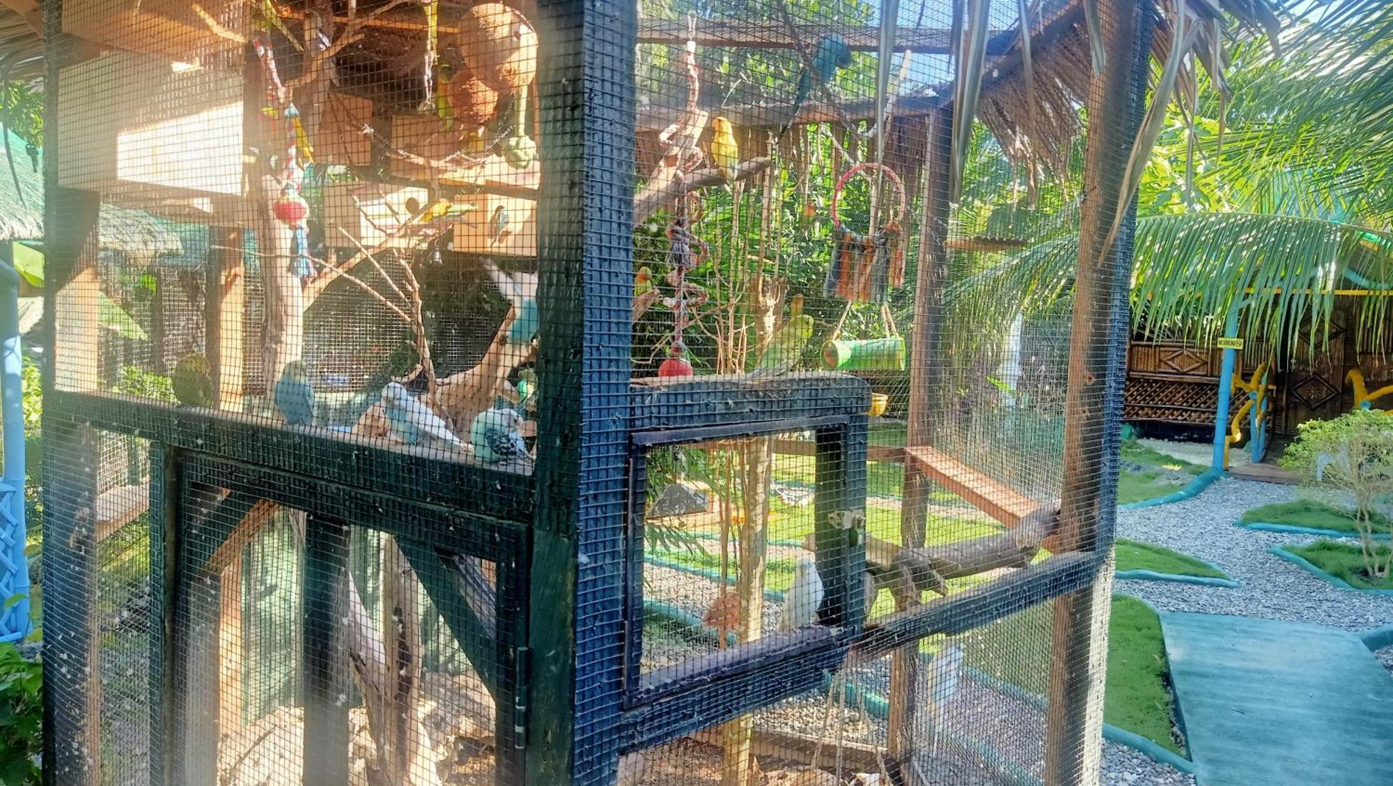 Moalboal Bamboo House / Rooms Oda fotoğraf
